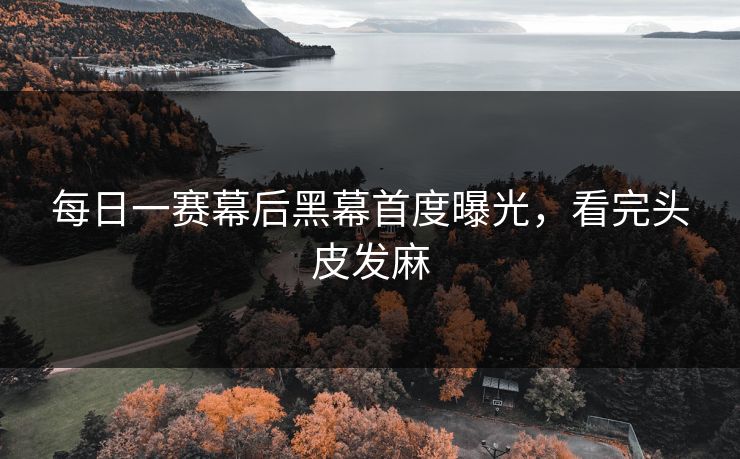 每日一赛幕后黑幕首度曝光，看完头皮发麻