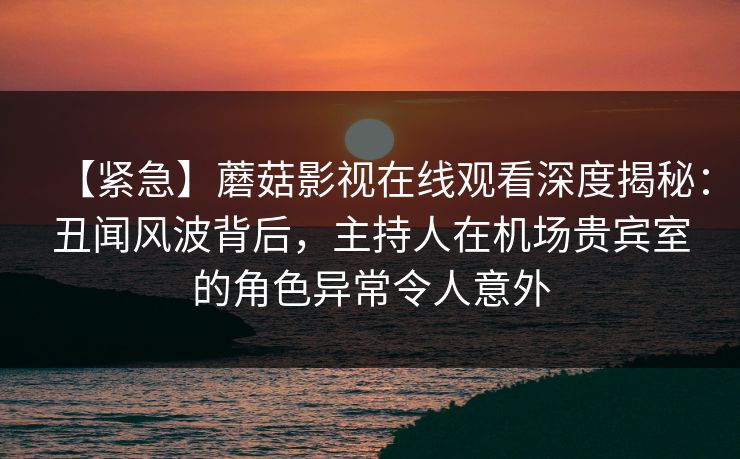 【紧急】蘑菇影视在线观看深度揭秘：丑闻风波背后，主持人在机场贵宾室的角色异常令人意外